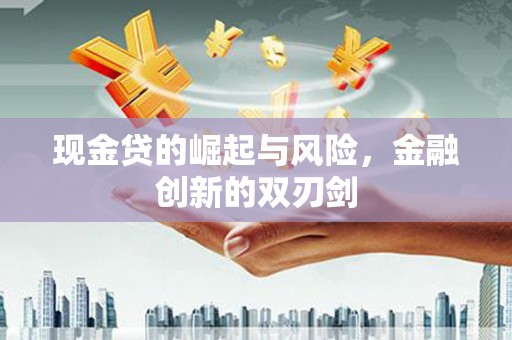 海陵现金贷的崛起与风险，金融创新的双刃剑