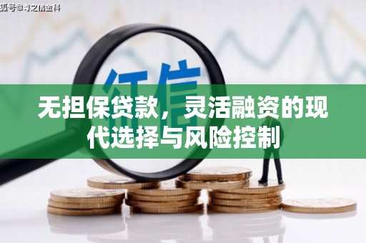 海陵无担保贷款，灵活融资的现代选择与风险控制