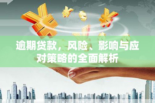 海陵逾期贷款，风险、影响与应对策略的全面解析