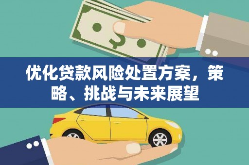 海陵优化贷款风险处置方案，策略、挑战与未来展望