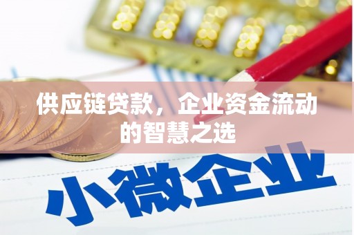 海陵供应链贷款，企业资金流动的智慧之选