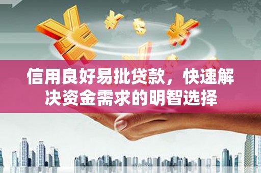 海陵信用良好易批贷款，快速解决资金需求的明智选择