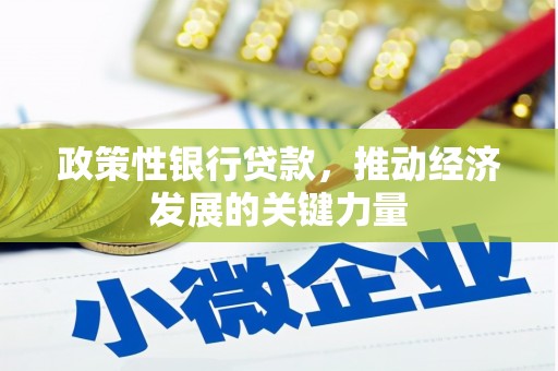 海陵政策性银行贷款，推动经济发展的关键力量