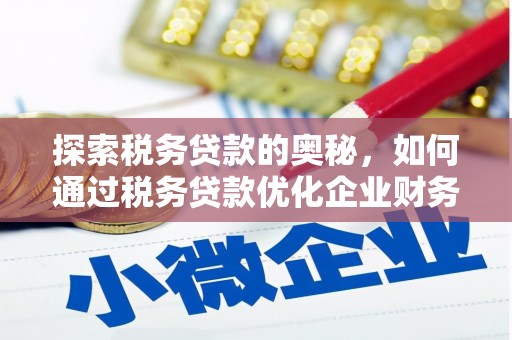 海陵探索税务贷款的奥秘，如何通过税务贷款优化企业财务