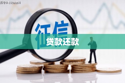 海陵贷款还款