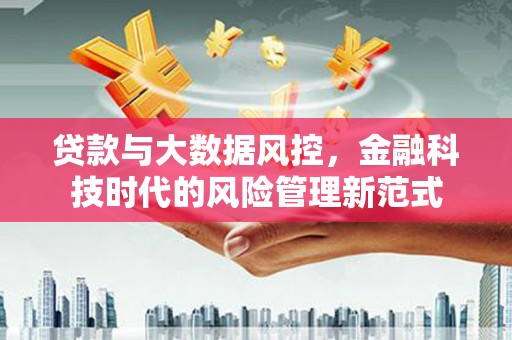 海陵贷款与大数据风控，金融科技时代的风险管理新范式