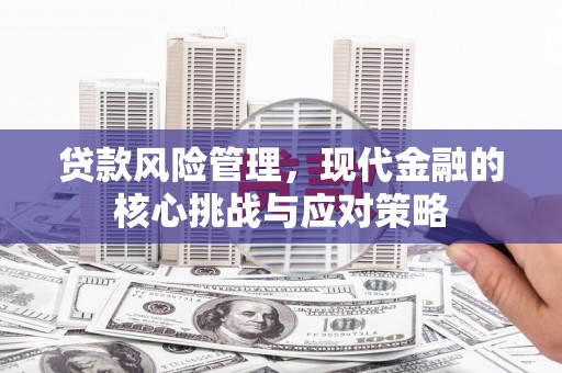 海陵贷款风险管理，现代金融的核心挑战与应对策略