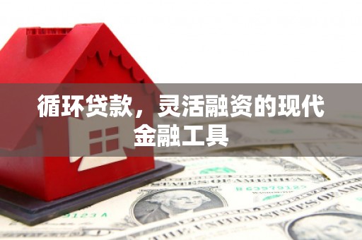 海陵循环贷款，灵活融资的现代金融工具
