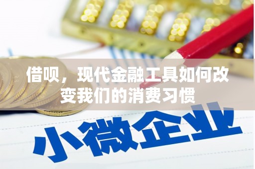 海陵借呗，现代金融工具如何改变我们的消费习惯
