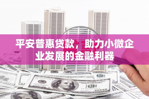 海陵平安普惠贷款，助力小微企业发展的金融利器