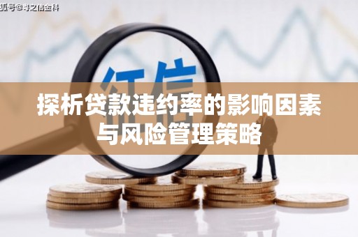 海陵探析贷款违约率的影响因素与风险管理策略