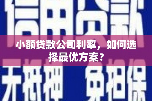 海陵小额贷款公司利率，如何选择最优方案？