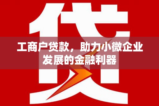 海陵工商户贷款，助力小微企业发展的金融利器