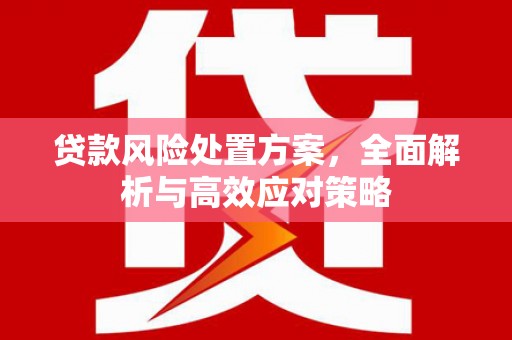 海陵贷款风险处置方案，全面解析与高效应对策略