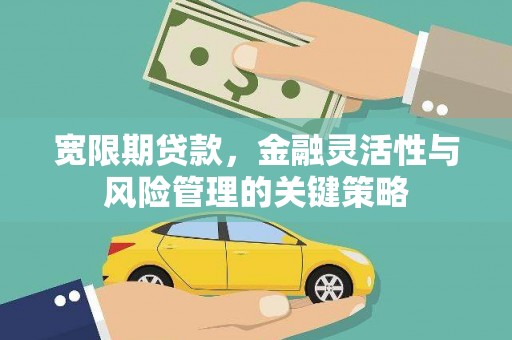 海陵宽限期贷款，金融灵活性与风险管理的关键策略