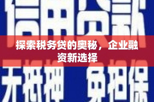海陵探索税务贷的奥秘，企业融资新选择