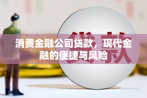 海陵消费金融公司贷款，现代金融的便捷与风险