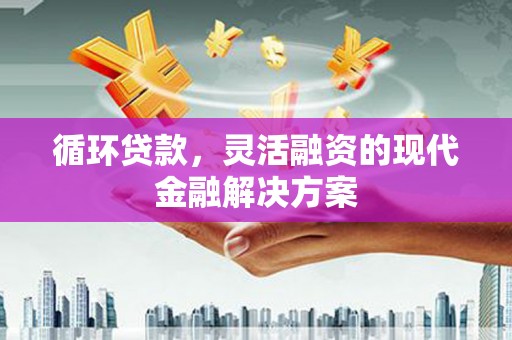 海陵循环贷款，灵活融资的现代金融解决方案