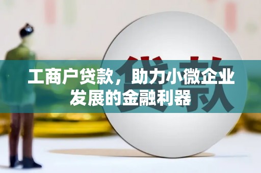 海陵工商户贷款，助力小微企业发展的金融利器
