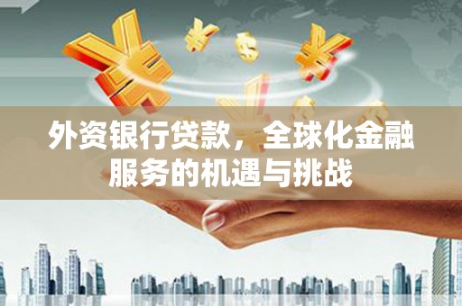 海陵外资银行贷款，全球化金融服务的机遇与挑战