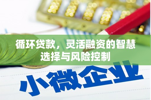 海陵循环贷款，灵活融资的智慧选择与风险控制