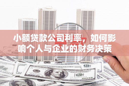 海陵小额贷款公司利率，如何影响个人与企业的财务决策