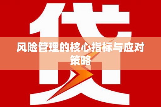 海陵风险管理的核心指标与应对策略