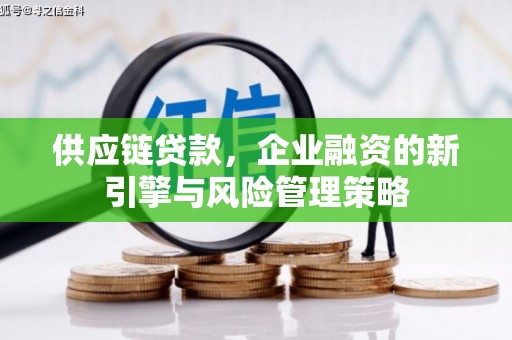 海陵供应链贷款，企业融资的新引擎与风险管理策略
