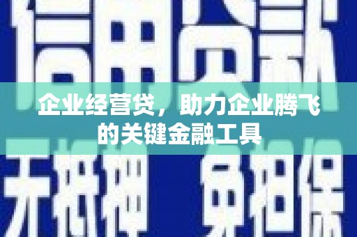 海陵企业经营贷，助力企业腾飞的关键金融工具