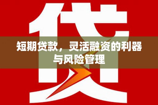 海陵短期贷款，灵活融资的利器与风险管理