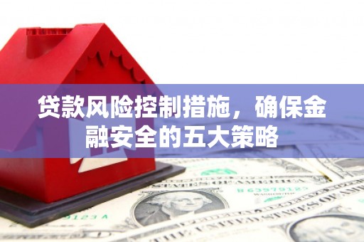海陵贷款风险控制措施，确保金融安全的五大策略