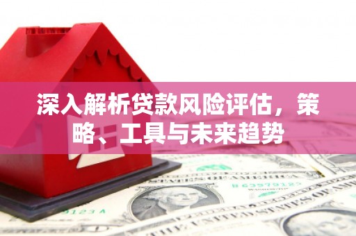 海陵深入解析贷款风险评估，策略、工具与未来趋势