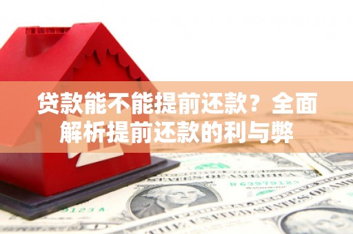 海陵贷款能不能提前还款？全面解析提前还款的利与弊