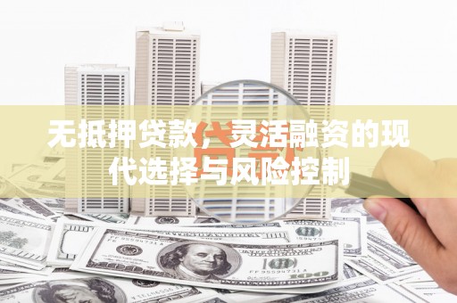 海陵无抵押贷款，灵活融资的现代选择与风险控制