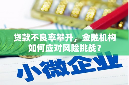 海陵贷款不良率攀升，金融机构如何应对风险挑战？