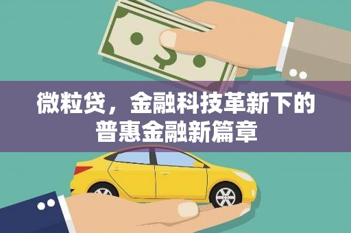 海陵微粒贷，金融科技革新下的普惠金融新篇章