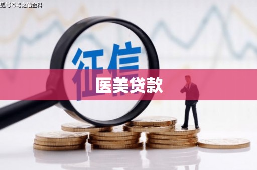海陵医美贷款