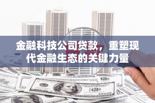海陵金融科技公司贷款，重塑现代金融生态的关键力量