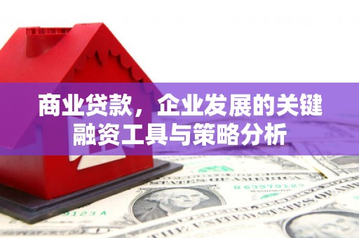 海陵商业贷款，企业发展的关键融资工具与策略分析