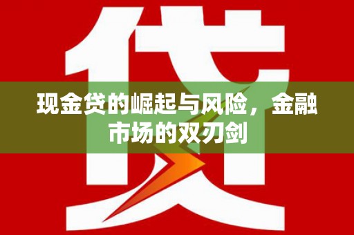 海陵现金贷的崛起与风险，金融市场的双刃剑