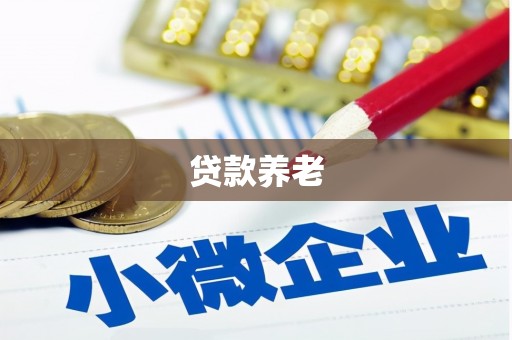 海陵贷款养老