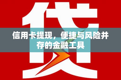 海陵信用卡提现，便捷与风险并存的金融工具