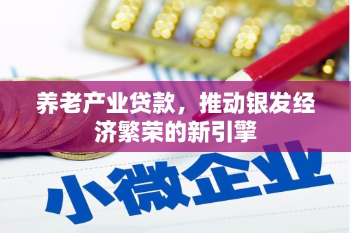 海陵养老产业贷款，推动银发经济繁荣的新引擎