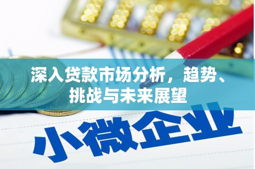 海陵深入贷款市场分析，趋势、挑战与未来展望