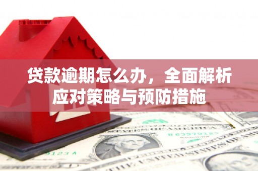 海陵贷款逾期怎么办，全面解析应对策略与预防措施