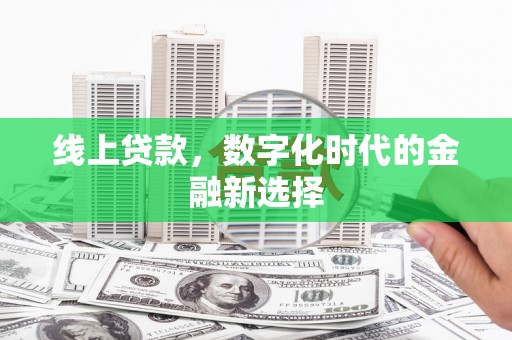 海陵线上贷款，数字化时代的金融新选择