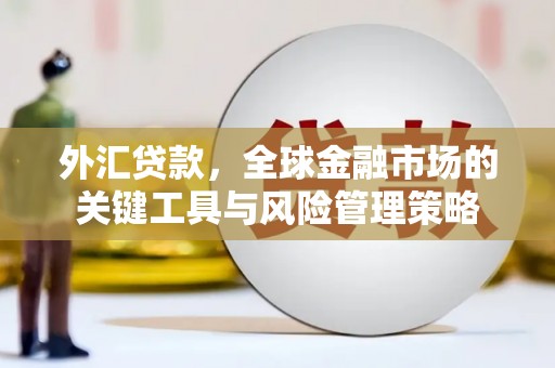 海陵外汇贷款，全球金融市场的关键工具与风险管理策略