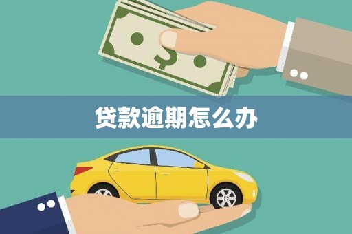 海陵贷款逾期怎么办