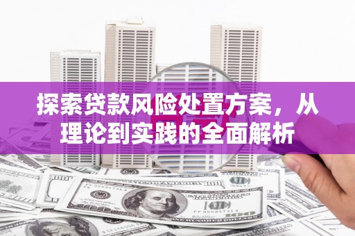 海陵探索贷款风险处置方案，从理论到实践的全面解析