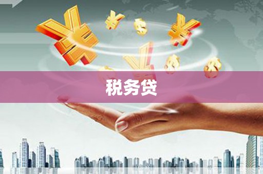 海陵税务贷